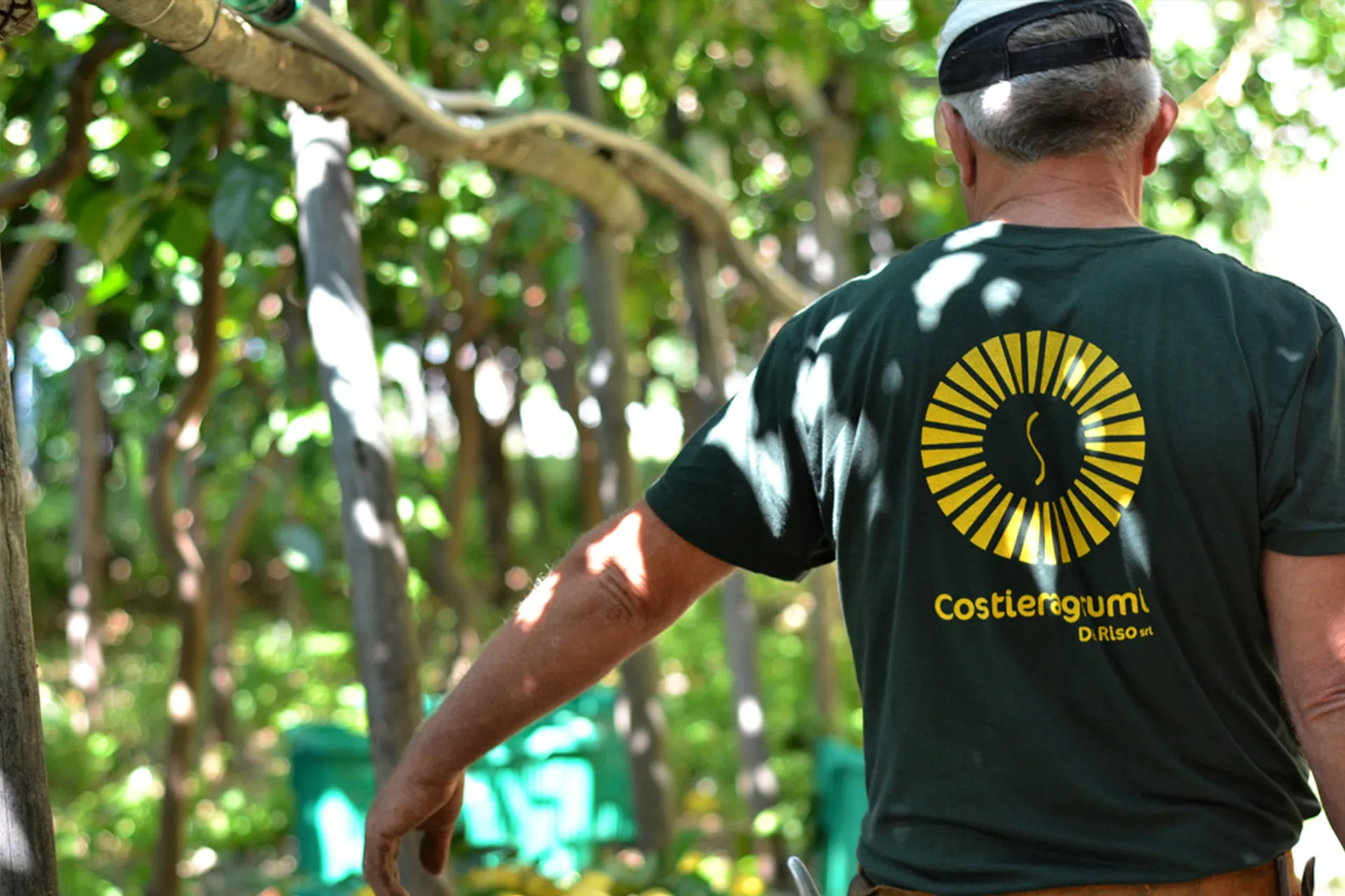 Agricoltori Cooperativa